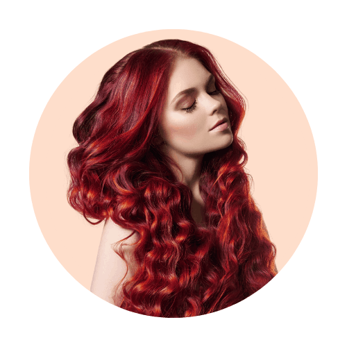 linha6